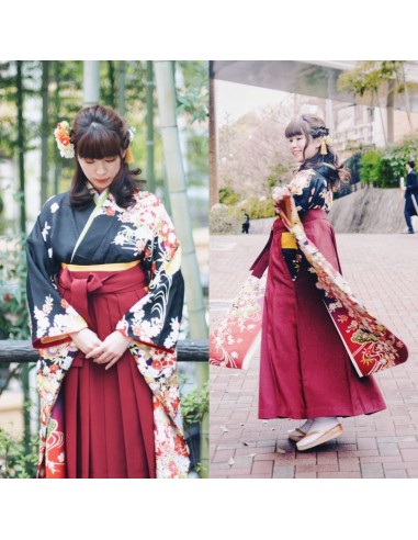 Ancient Chiffon Kimono Hanfu Dress Summer Tang Embroidery Chinese